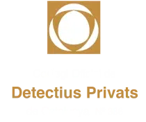 Detective Colegiado nº 386
